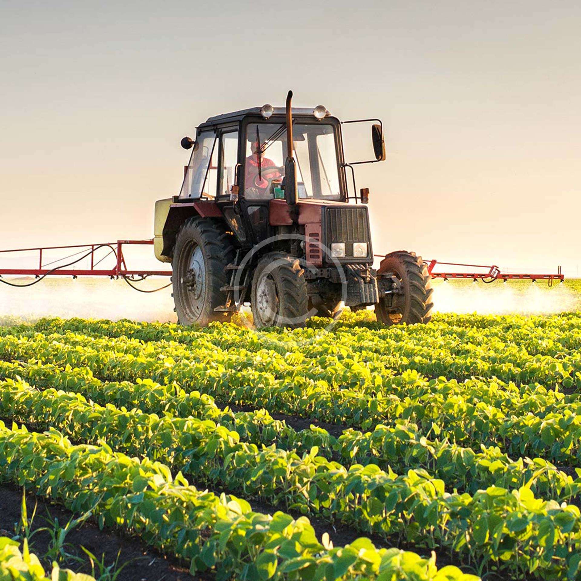 Organic Farm Inputs