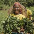 Why Organic Farming Is the Future of Africa’s Food System