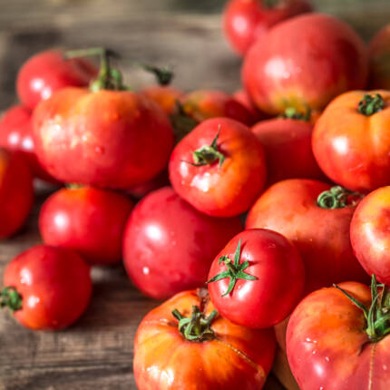 Organic Tomatoes