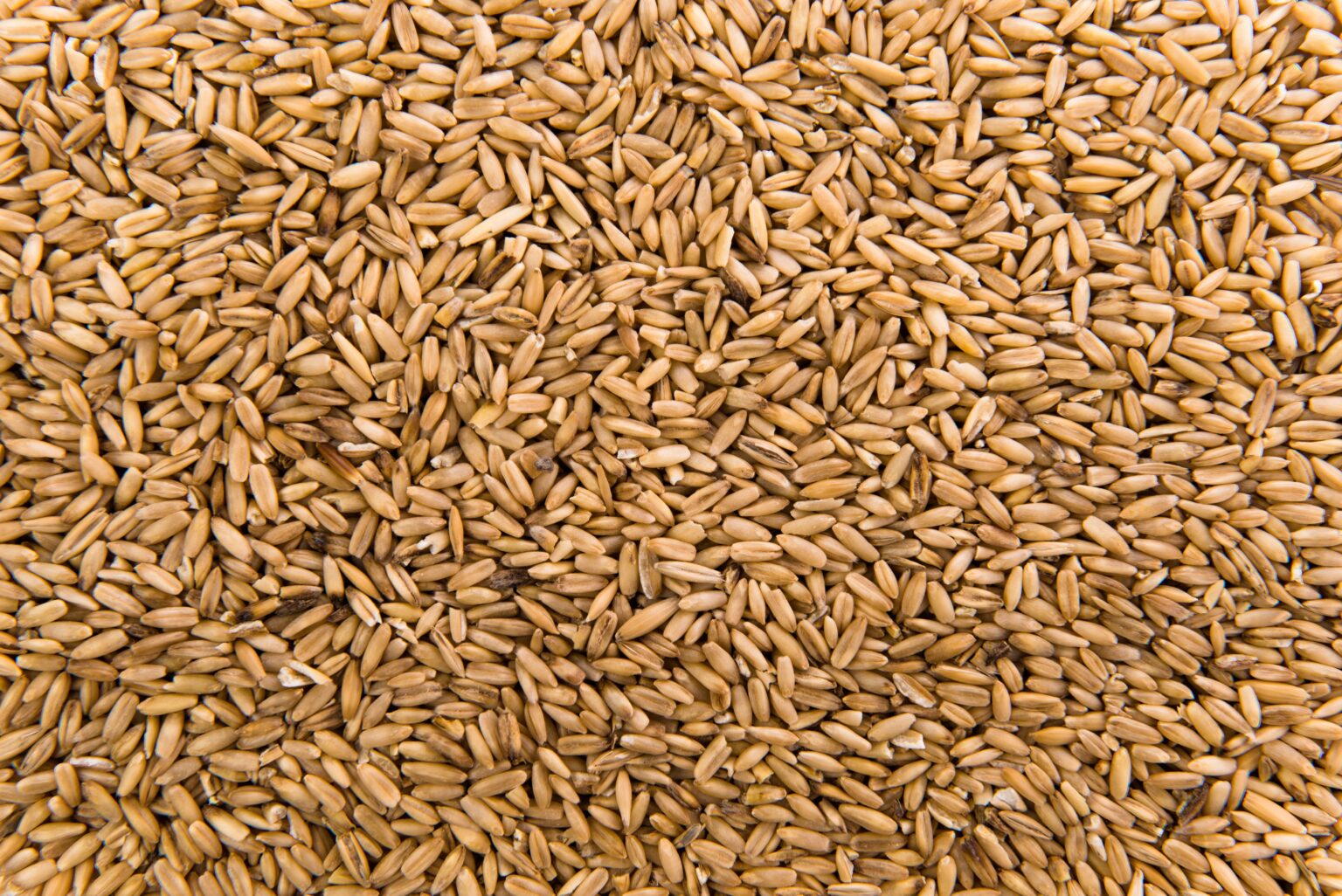 Grains