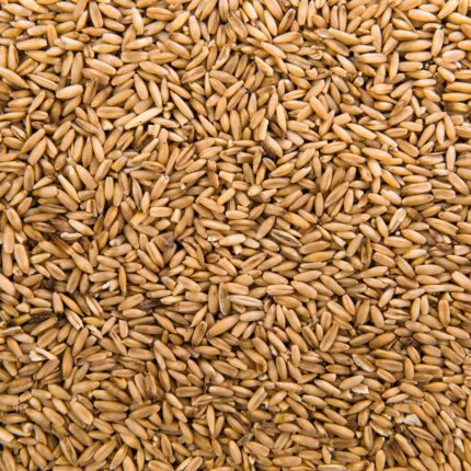 Grains
